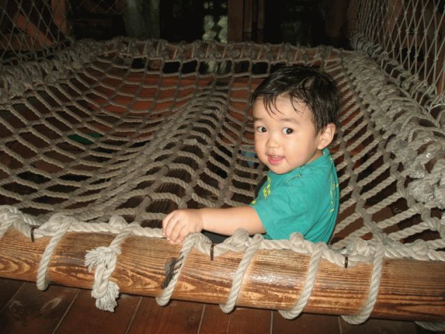 秋をみつけました＜つづく＞